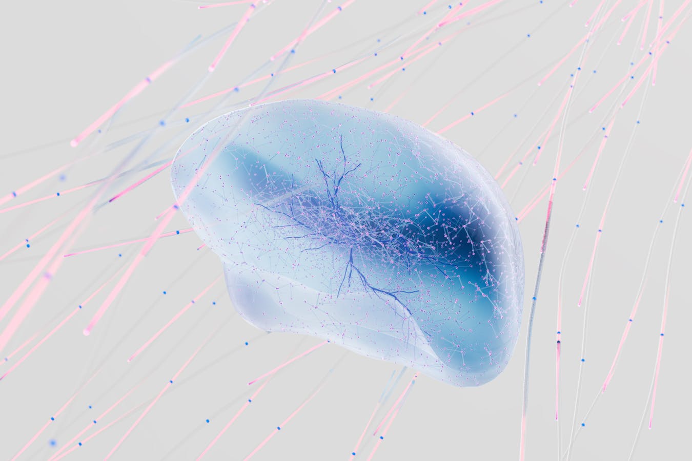 pexels-photo-17483867