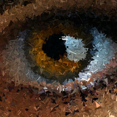 pexels-photo-33459152