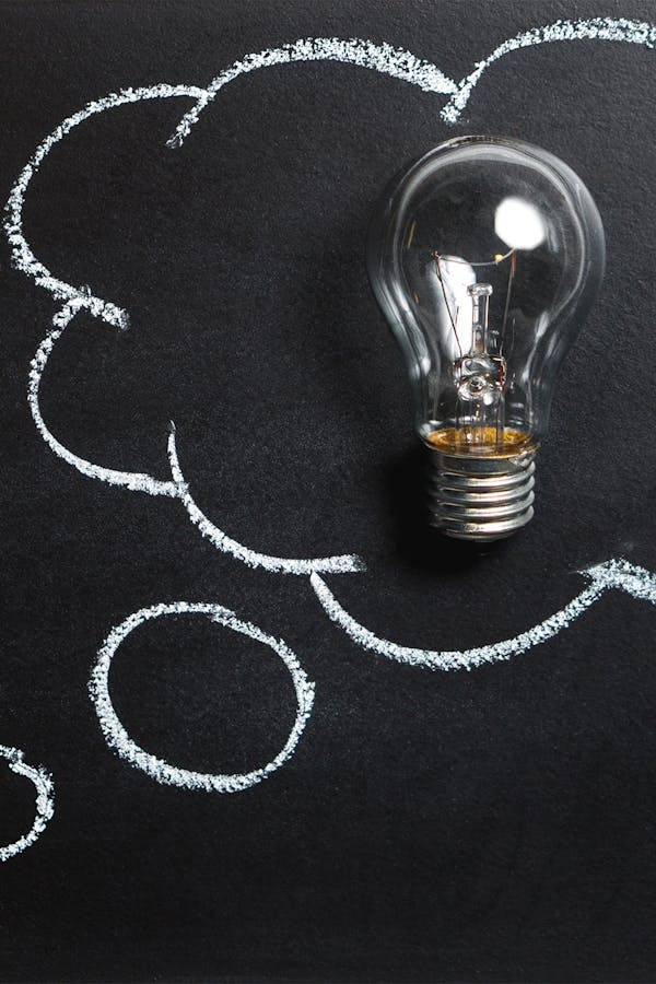 pexels-photo-355952-1